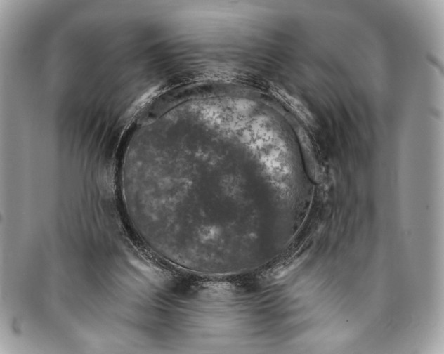 X0000096210203200802081510