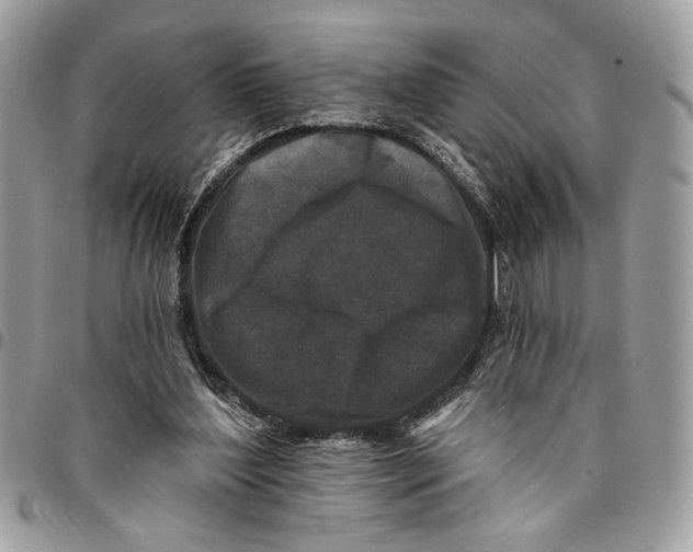 X0000096210204200802081510