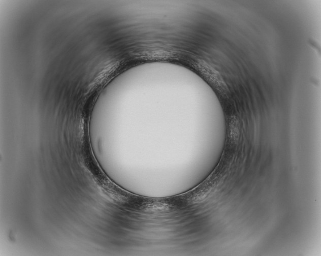 X0000096210206200802081510