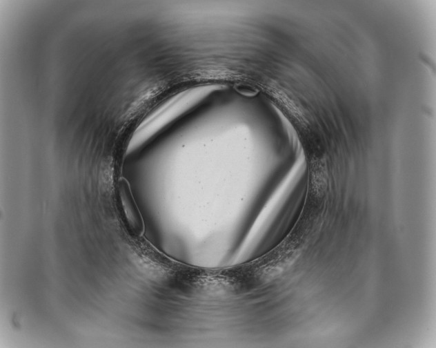 X0000096210207200802081510