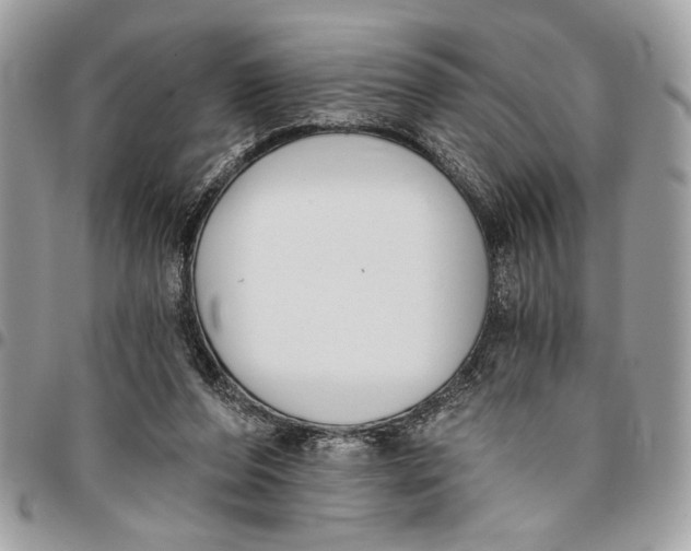 X0000096210208200802081510