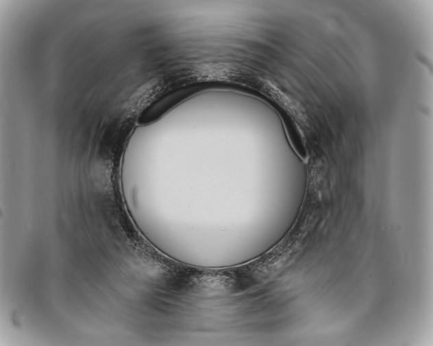 X0000096210209200802081510