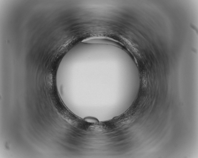 X0000096210211200802081510