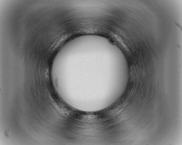 X0000096210212200802081510