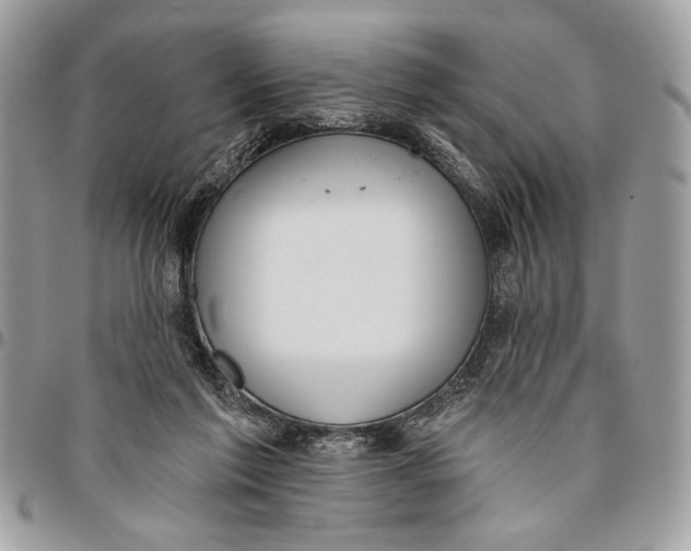 X0000096210213200802081510