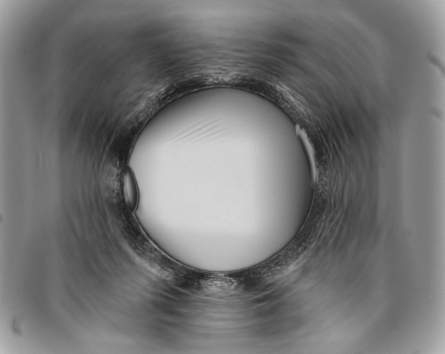 X0000096210215200802081510