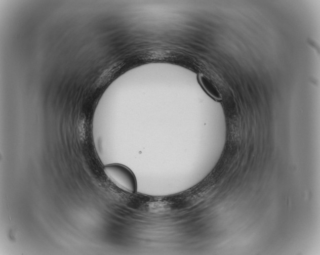 X0000096210216200802081510