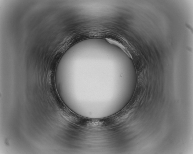 X0000096210217200802081510