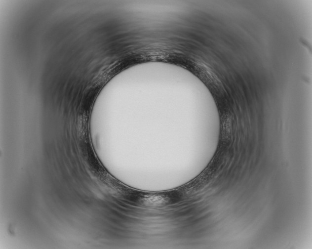 X0000096210218200802081510