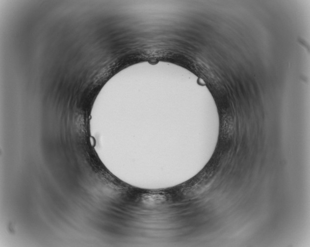 X0000096210220200802081510