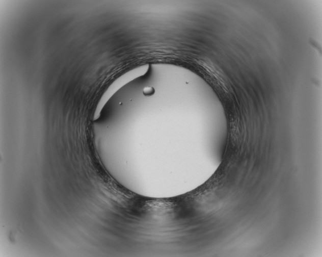 X0000096210221200802081510