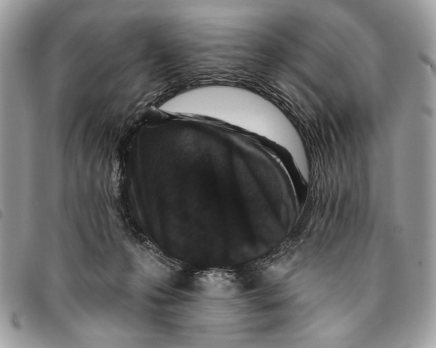 X0000096210223200802081510