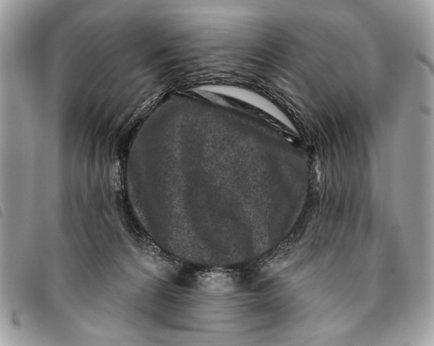 X0000096210224200802081510