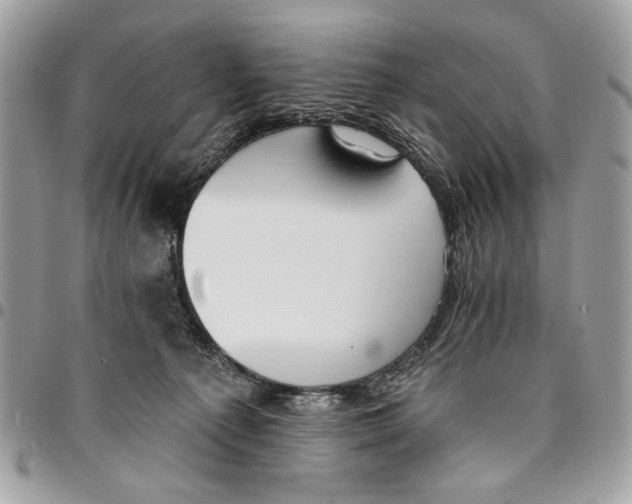 X0000096210225200802081510