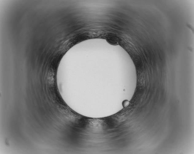 X0000096210226200802081510