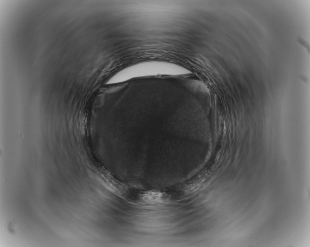 X0000096210227200802081510