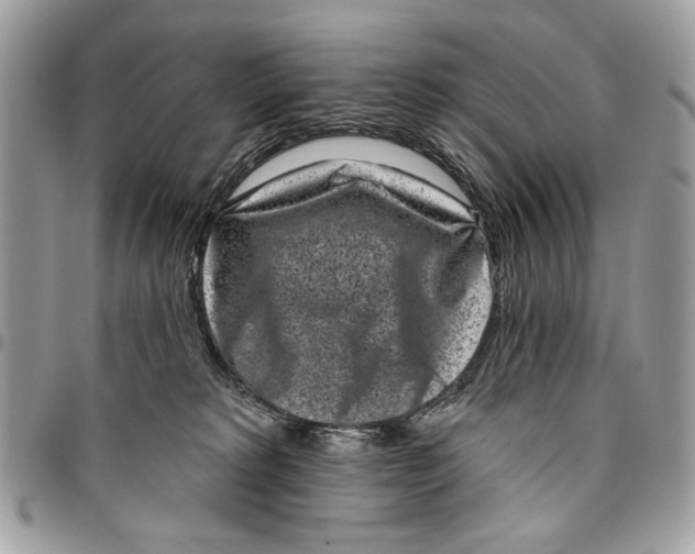 X0000096210229200802081509