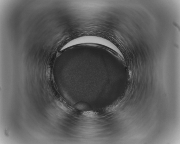 X0000096210231200802081509