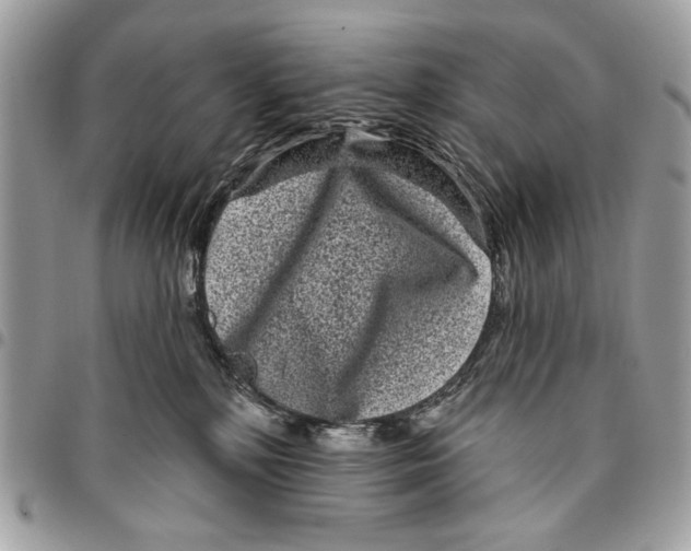 X0000096210232200802081509