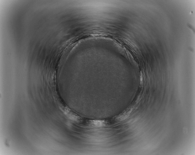 X0000096210233200802081509