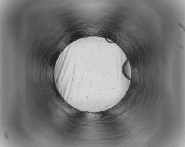 X0000096210234200802081509