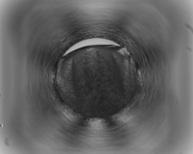 X0000096210235200802081509