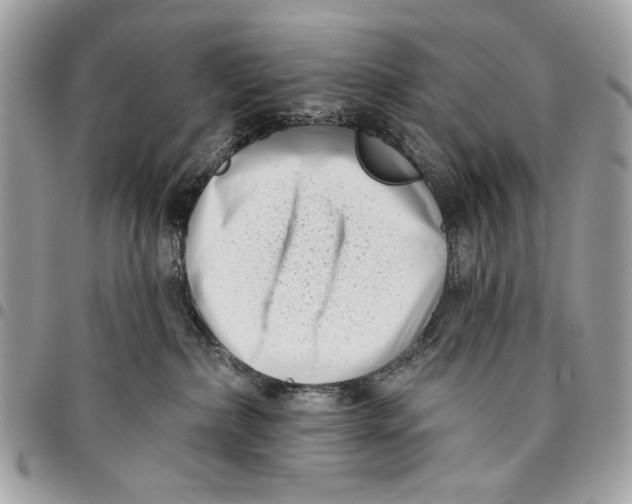 X0000096210236200802081509