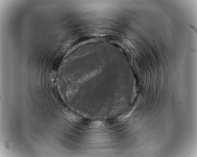 X0000096210237200802081509