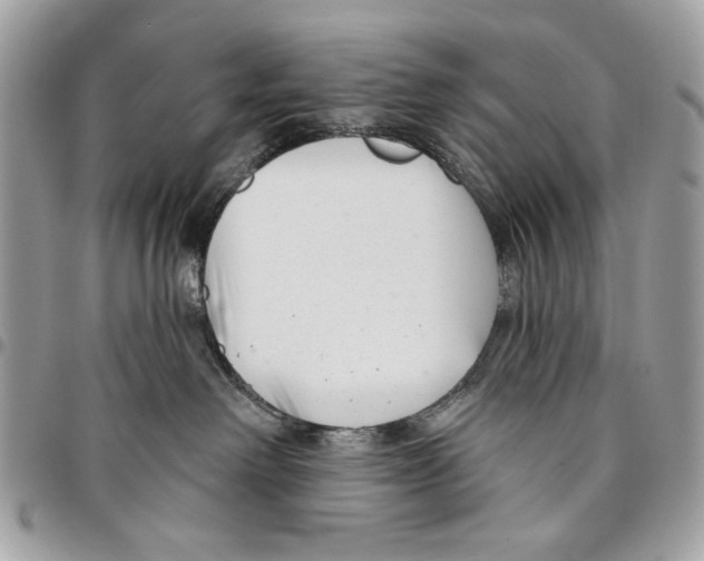 X0000096210238200802081509