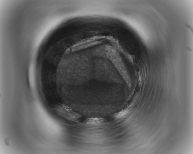 X0000096210239200802081509