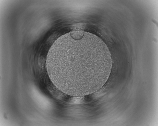 X0000096210240200802081509