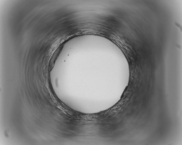 X0000096210241200802081509