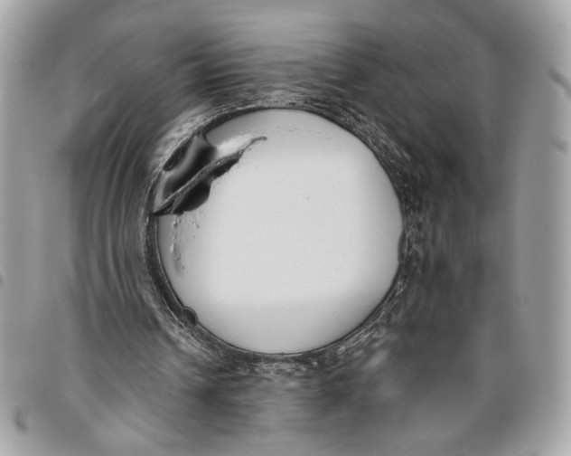 X0000096210242200802081509