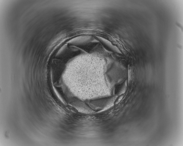 X0000096210243200802081509