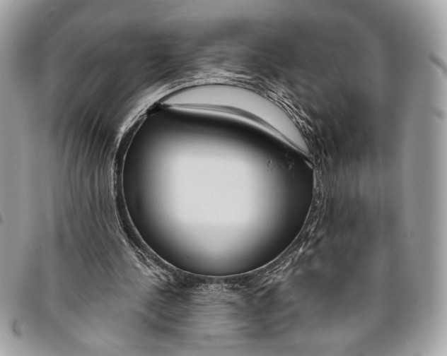 X0000096210244200802081509