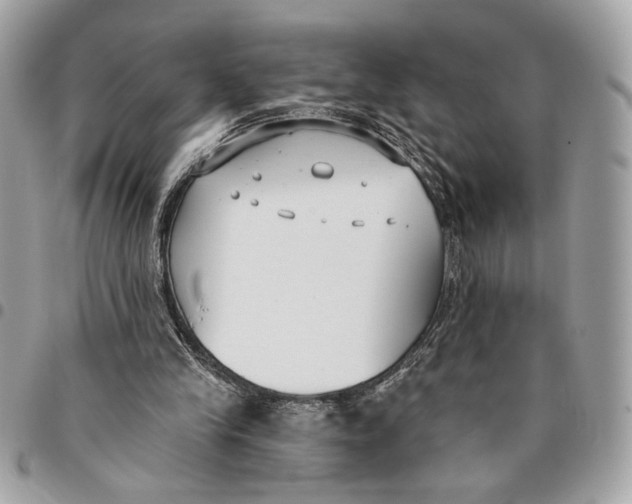 X0000096210245200802081509