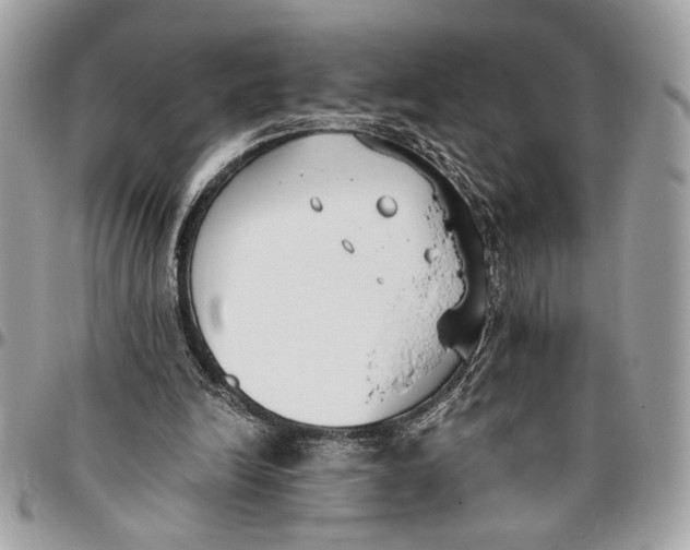 X0000096210246200802081509