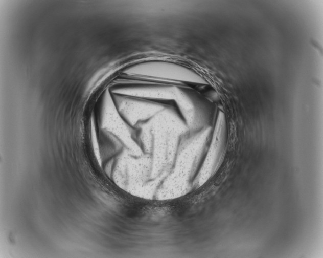 X0000096210247200802081509