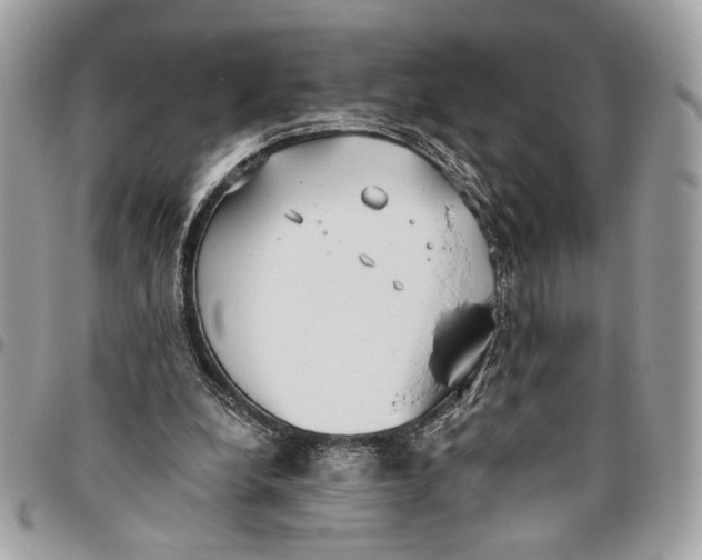 X0000096210248200802081509