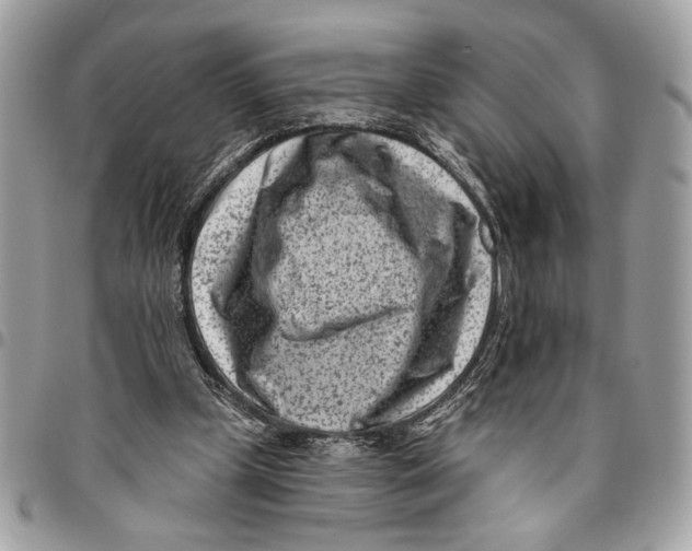 X0000096210249200802081509