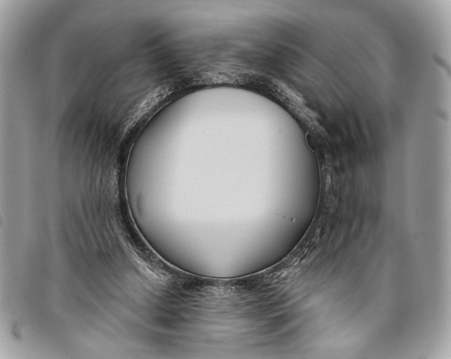 X0000096210250200802081509