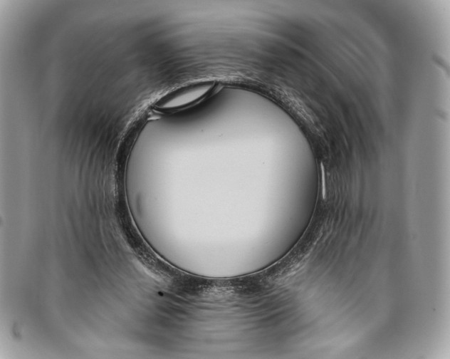 X0000096210252200802081509