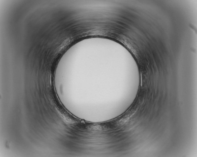 X0000096210253200802081509