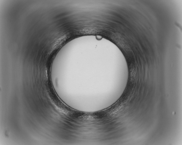 X0000096210254200802081509