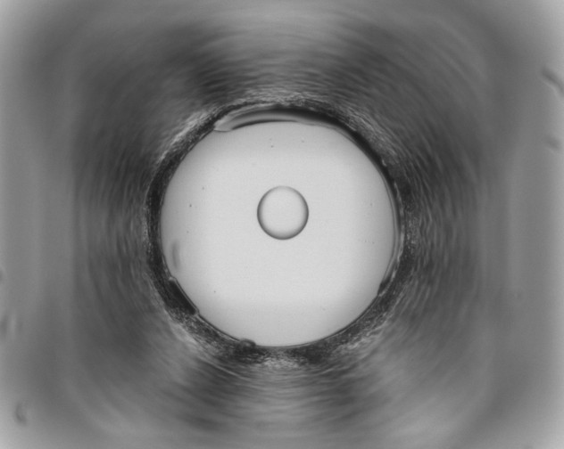 X0000096210256200802081509