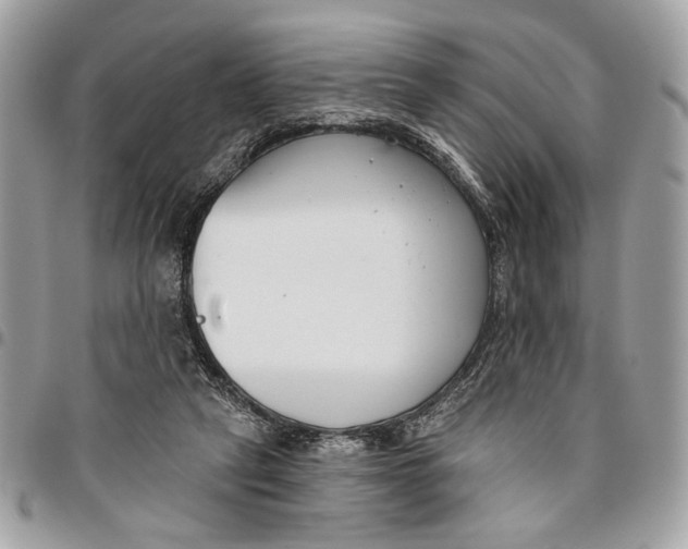 X0000096210257200802081509