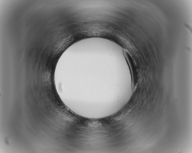 X0000096210258200802081509