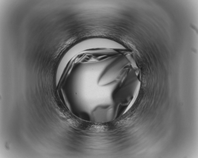 X0000096210260200802081509