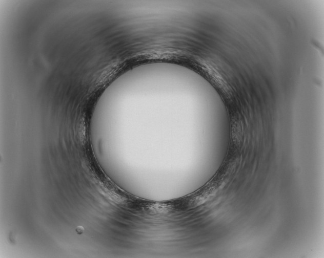 X0000096210261200802081509