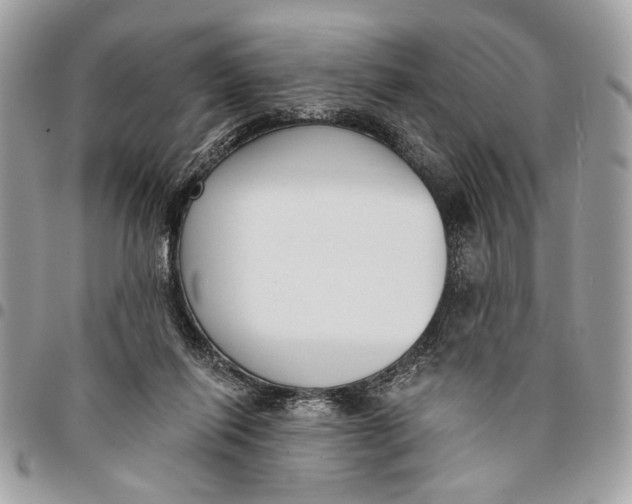 X0000096210262200802081509